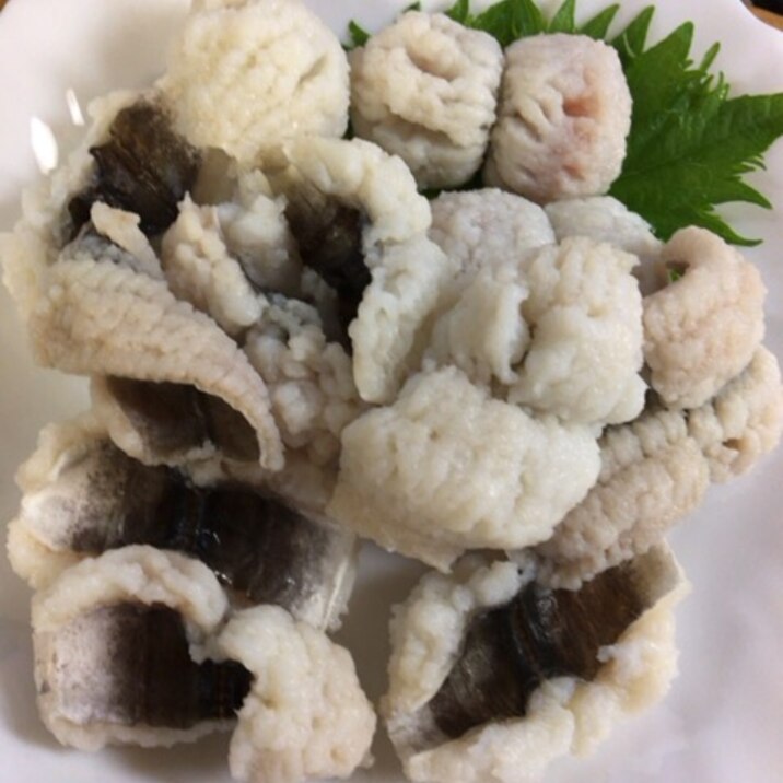 簡単！鱧の湯引き